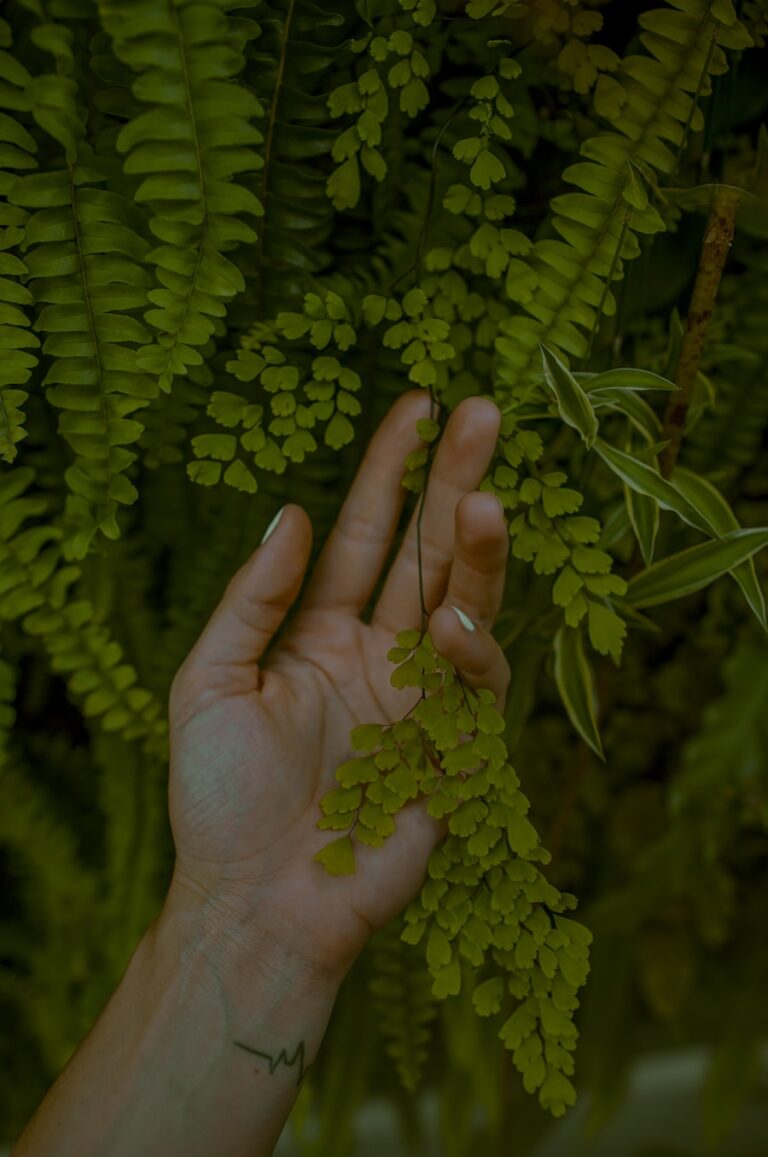 Photo "Natural biohacking methods"