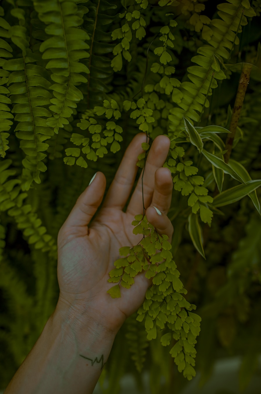 Photo "Natural biohacking methods"