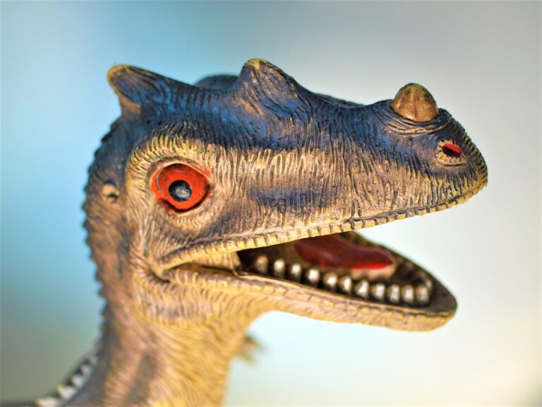 Photo paleontologiczne