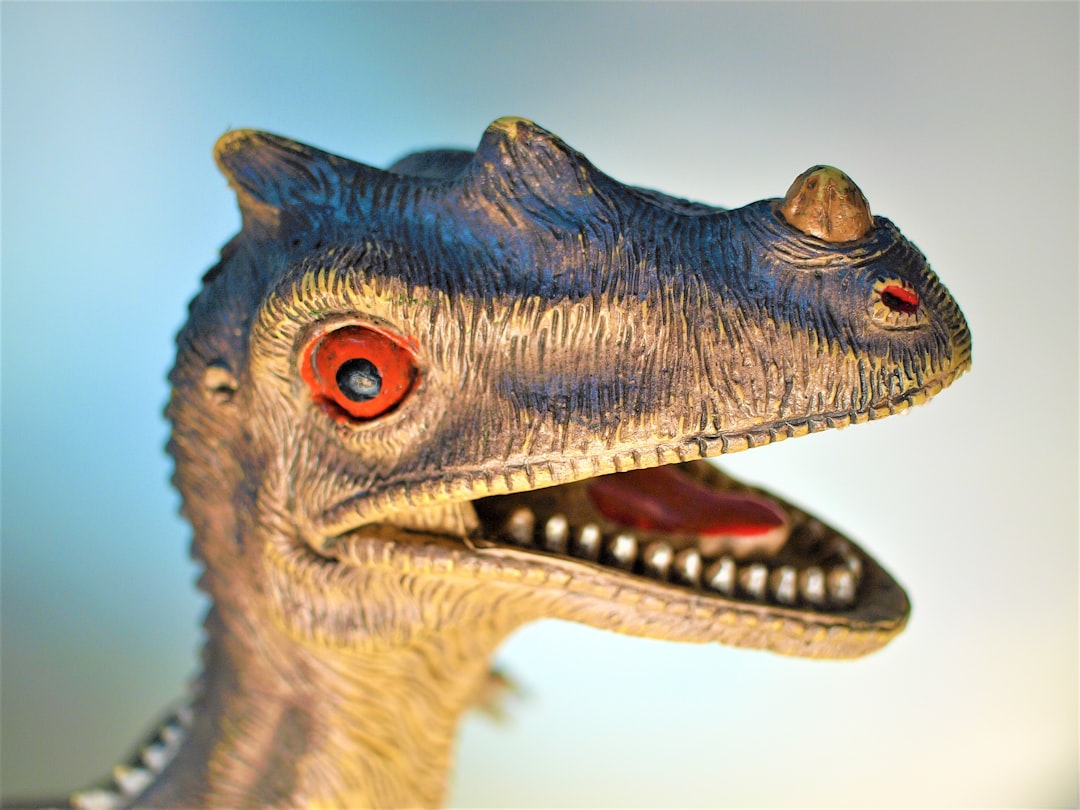 Photo paleontologiczne