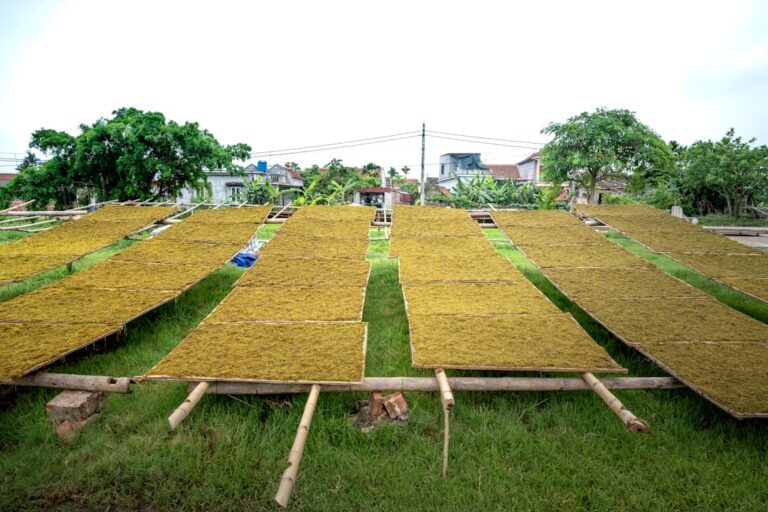 Photo Sustainable development initiatives