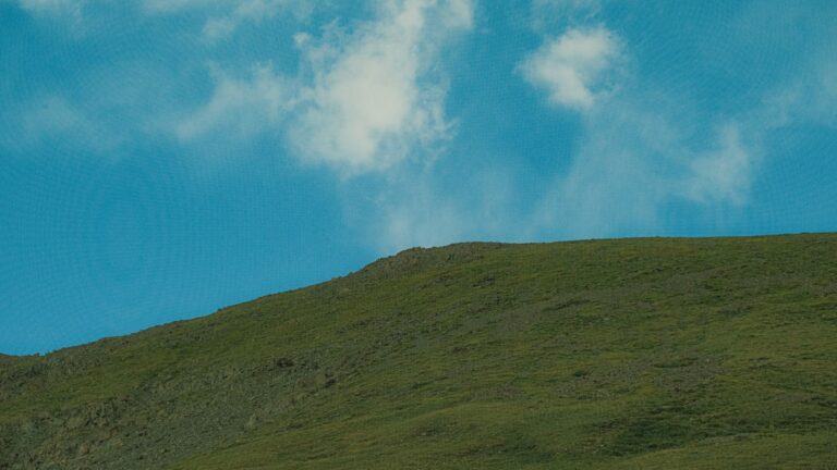 Photo Ayurveda adaptations