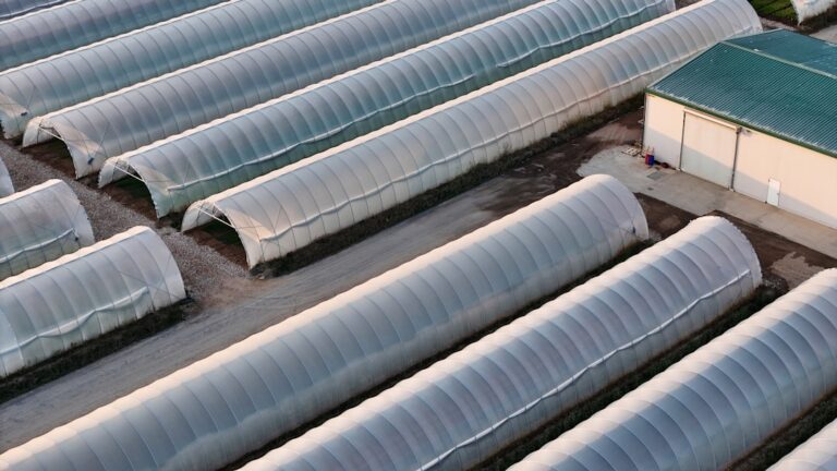 Photo production methods