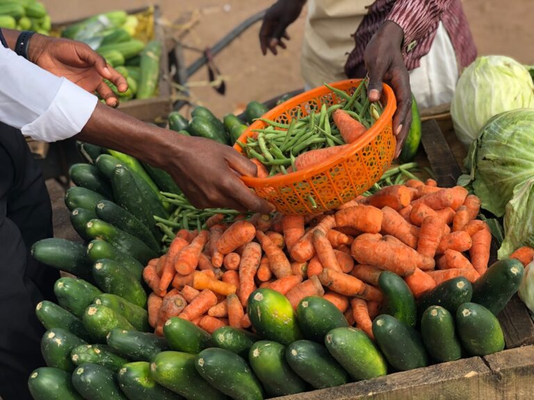 Photo food sovereignty strategies