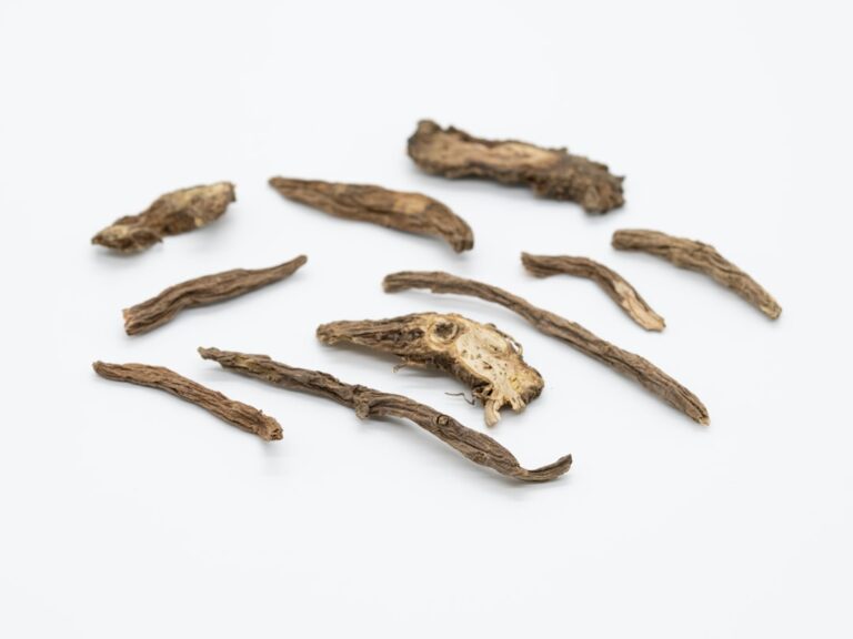 Photo adaptogen herbs