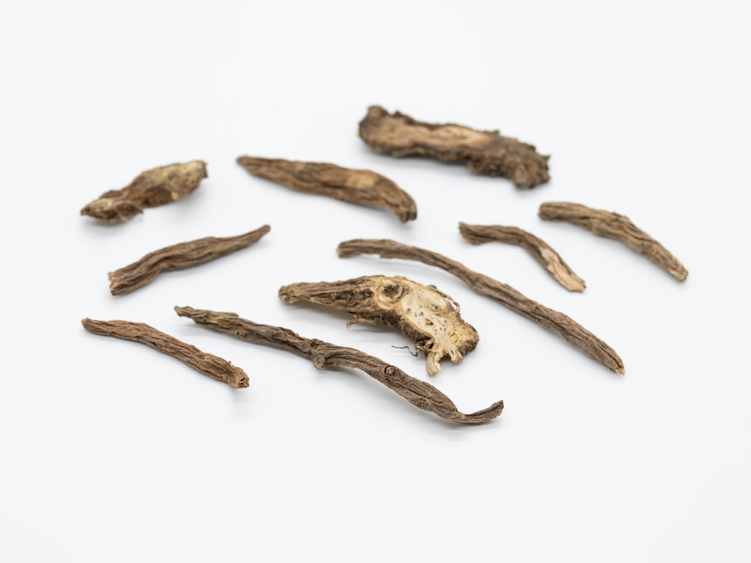 Photo adaptogen herbs